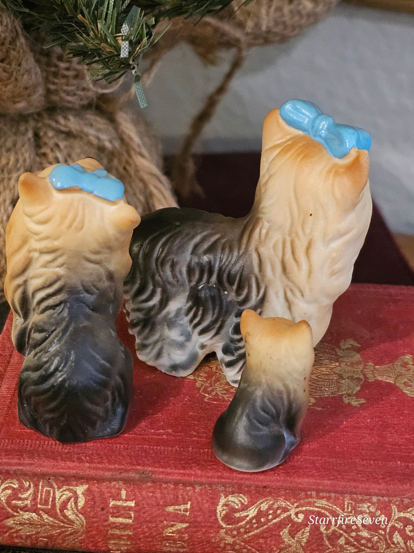 Miniature Yorkies