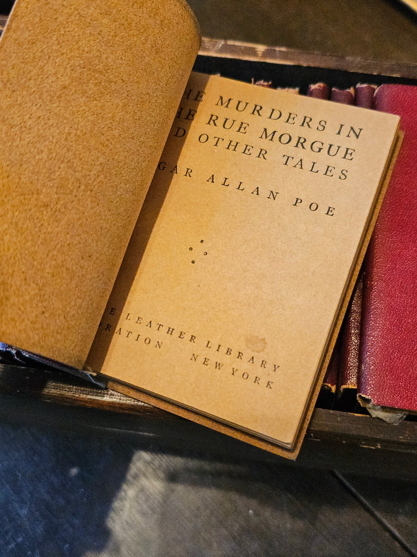 Miniature Leather Library