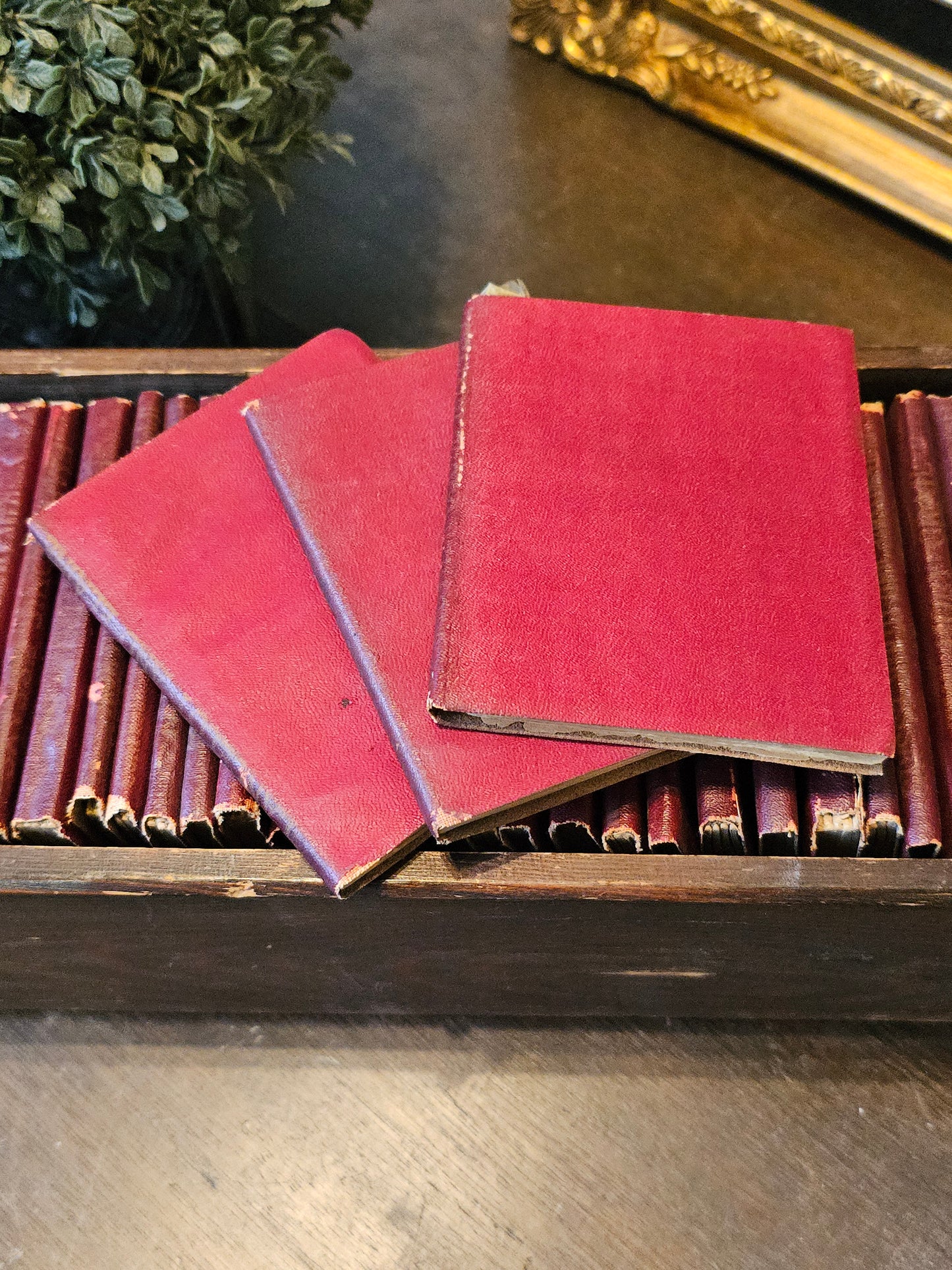 Miniature Leather Library
