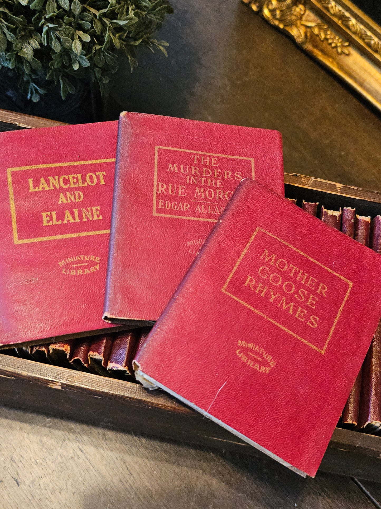 Miniature Leather Library
