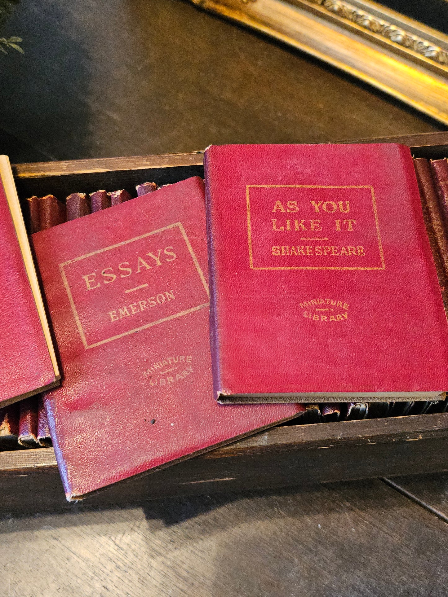Miniature Leather Library