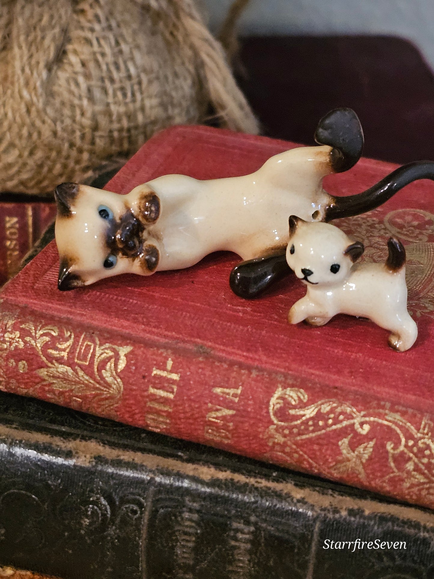 Miniature Siamese Cat & Kitten
