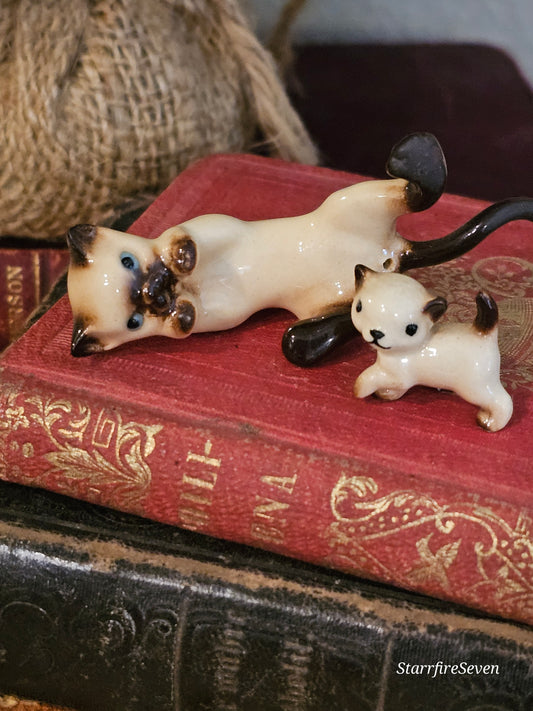 Miniature Siamese Cat & Kitten