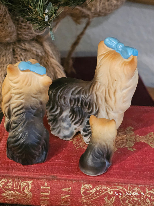 Miniature Yorkies