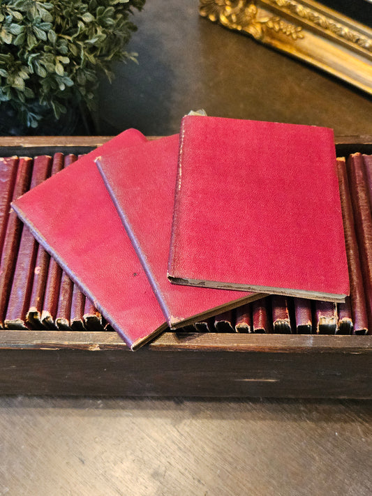 Miniature Leather Library